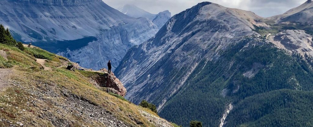 Mind Blowing Interviews with Joscha Bach on Life, the Universe, and&nbsp;Everything!