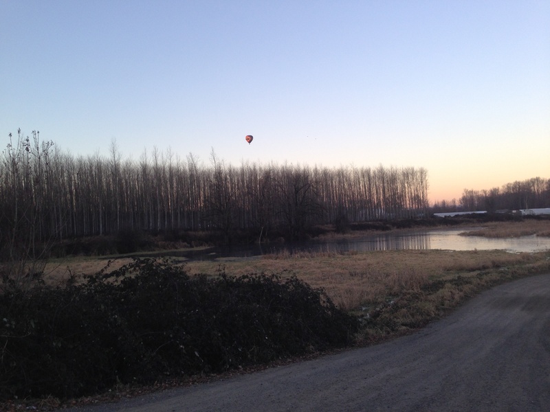 Equilibrium, Punctuated