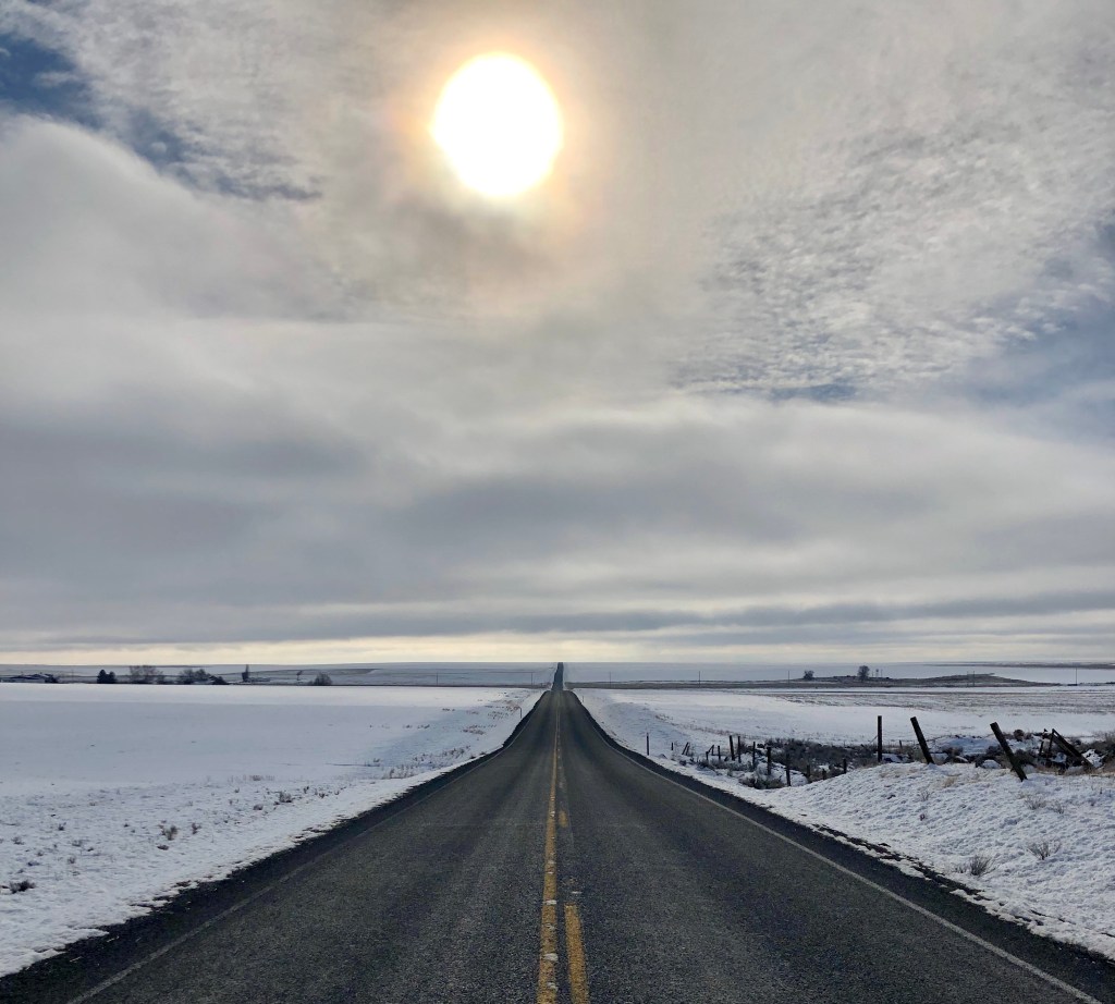 A Promising Computational Model of Human Intelligence and&nbsp;Consciousness