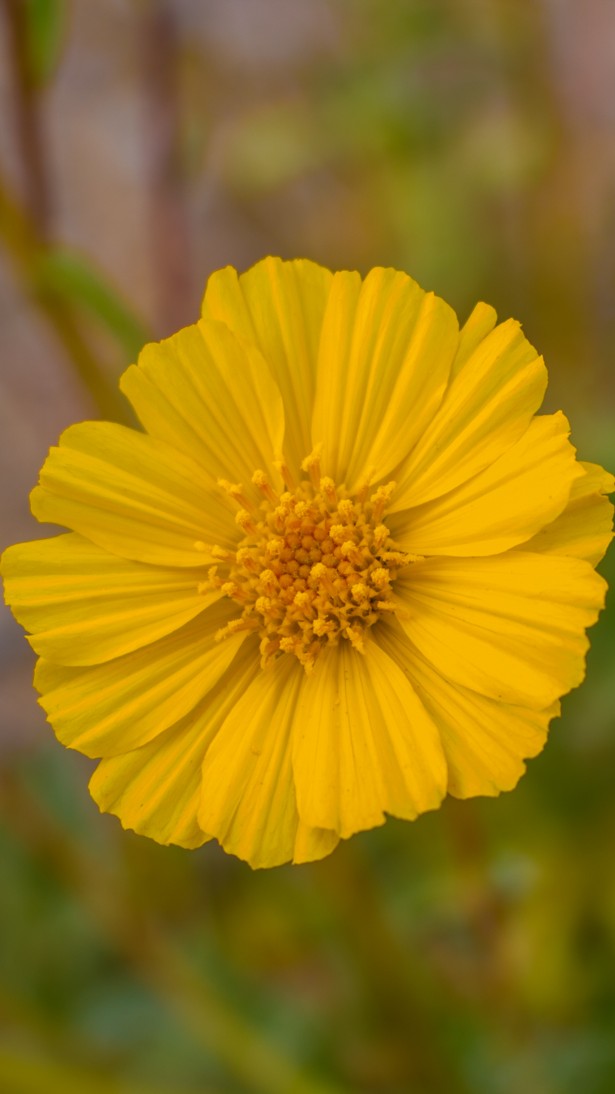 The Simplest and Most Complete Formula for Creativity