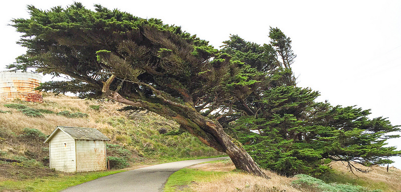 28901686410_8d1113623d_c