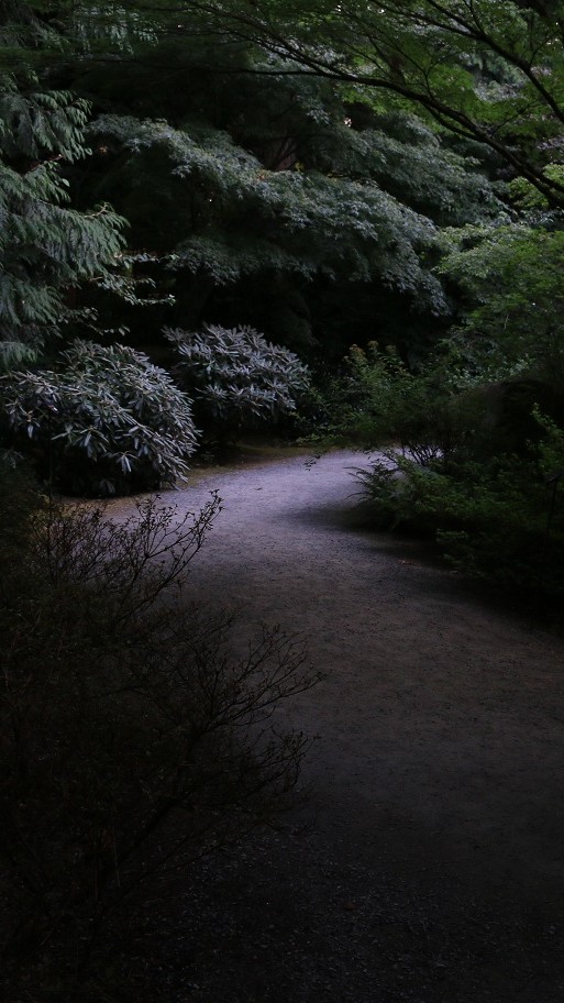 The “Natural” Method for Discovering and Living Your&nbsp;Passion