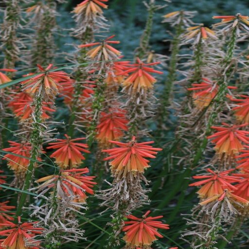 Started Blogging at Medium.com